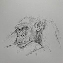 "Scunnert" by Moira MacPherson
