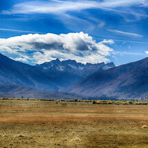 Wildestplains
