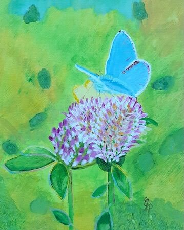 "Beauties in Tentsmuir Forest" by Gabi Paterson