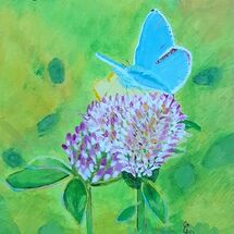 "Beauties in Tentsmuir Forest" by Gabi Paterson