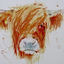 "Heiland coo fromGask Road, Kelty" by Moira MacPherson