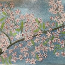 "Cherry tree in blossom" by Jan Callender