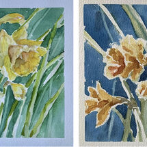 "Daffodils" by Moira MacPherson