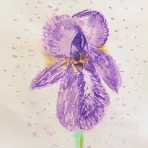 "Iris" by Hazel Campbell
