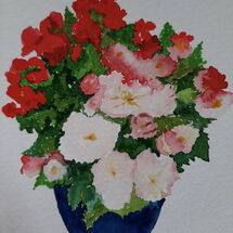 "Begonias from my garden" by Judith Jaggard
