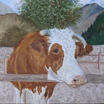 "Hereford Cow" by Judith Jaggard