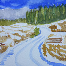 "Knockhill Wood in snow" by Liz Bibby