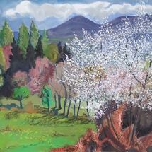 "Blackthorn Blossom (Sloe)" by Margaret Cummins
