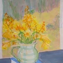Daffodils