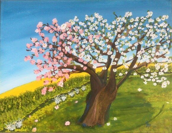 "Blossoming in Fife" by Gabi Piche-Paterson