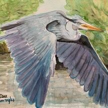 "Grey Heron over Otterston Loch" by Jan Callender