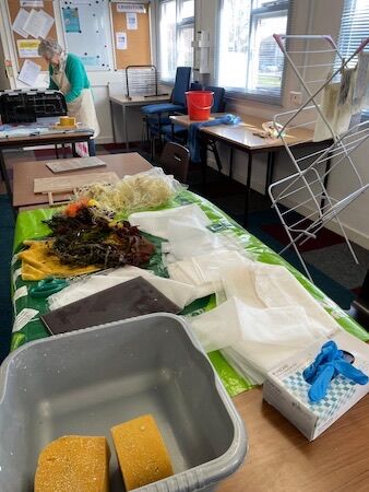 Paper Making with Seaweed
