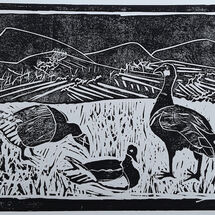 Lino cut print proof by Helen Rowbotham
