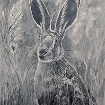 "Sunshine Hare" by Margaret Cummins