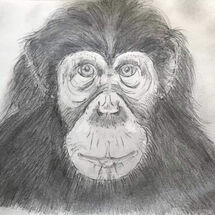 ""Monkey Business" by Gwynith Young