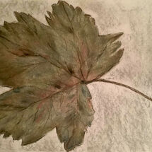 'Autumn Leaf" by Gwynith Young