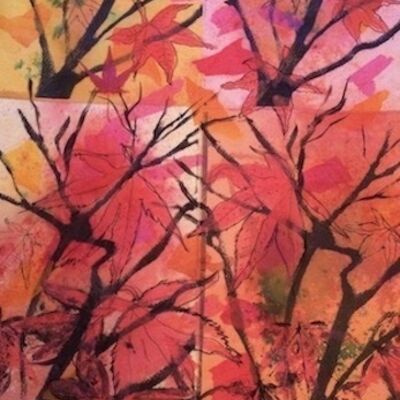 "Acer in my Garden x4!" by Maggie Brown