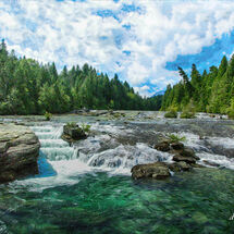 Looking up river