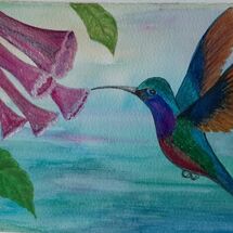 "A Humming Bird" by Judith Jaggard