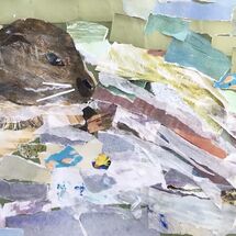 "Otter"