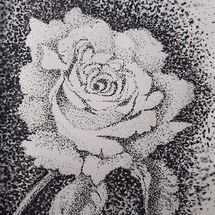 "A Single Rose' by Judy Jaggard