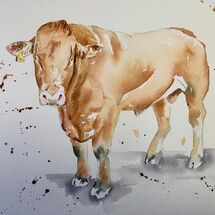 "Netherton Farm Bull" by Moira MacPherson