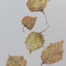NOVEMBER - Pointillism
