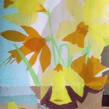 Daffodils