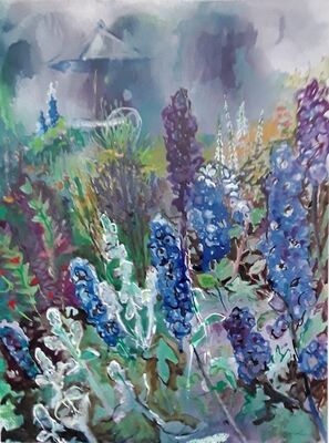 Delphinium Blue