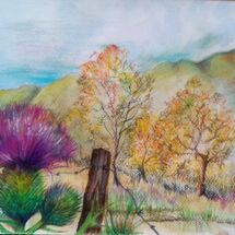 August task - "Prickles and Barbs" by Joan Patterson
