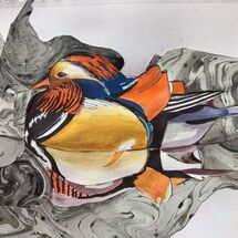 "Mandarin Duck" by Maggie Brown