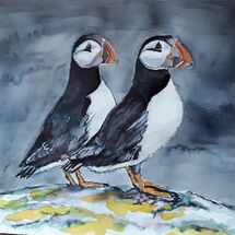 "Puffins, May Island" by Margaret Cummins