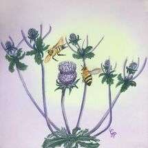 "Interest in my Scottish Garden Thistle" by Gabi Piche-Paterson