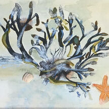 "Coastal Life with Orange Starfish" by Gabi Piche-Paterson
