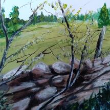 "Drystane Dyke and Blossom" by Dorothy Turvey