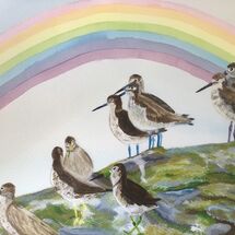 Rainbow Shanks practicing Social Distancing. inspired by "After the storm there is a Rainbow"