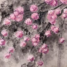 'Blossom against a dark sky" by Barbara Wade