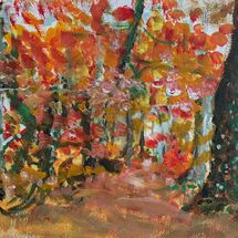 WALK IN THE WOODS