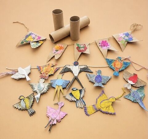 From Toilet Rolls!!!!