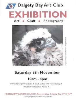 nov 25 exhibition