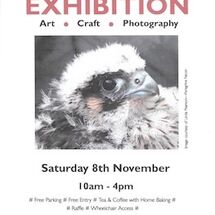 Nov 25 Exhibition