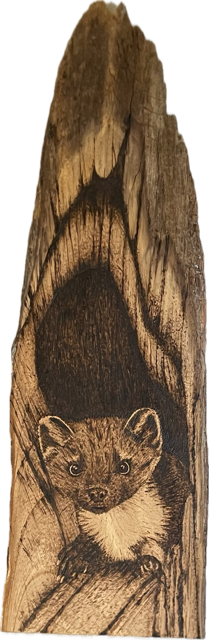 “Hello” by Sharon McLeod