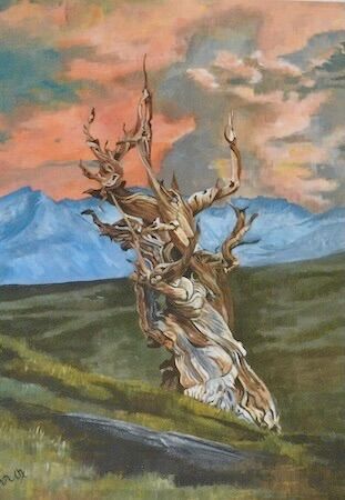"Ancient tree" by Karen Birch
