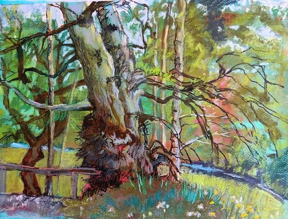 "Deep in a Perthshire Wood" by Margaret Cummins