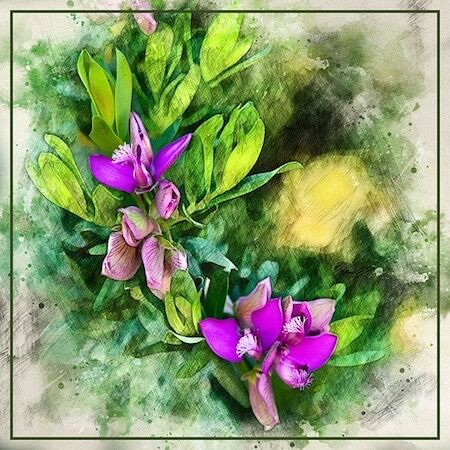 Wildflowers in Spain