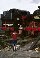 Withdrawn Locos awaiting rescue, Barry scrapyard Wales