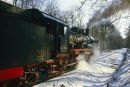 Steam train in forest, Germany.
