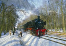 Steam train in forest, Germany.