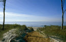 Darss Forest, Baltic Coast, Germany.