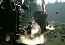 Brockenbahn, Harz Mountains.